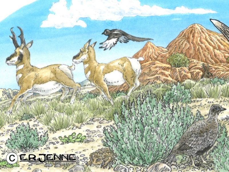 The "terrestrial" portion of the  vehicle graphics utilized on the 'Traveling Wild' educational van operated by Montana Fish, Wildlife and Parks.