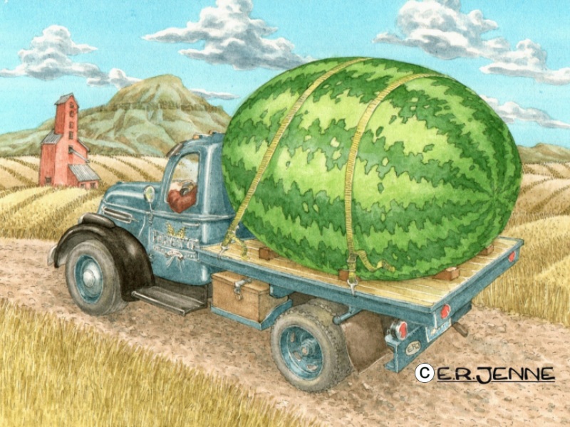 An illustration for the 'Wuttamelon' beer label and packaging.  'Wuttamelon is a seasonal beer produced by the Harvest Moon brewery in Belt, Montana.
